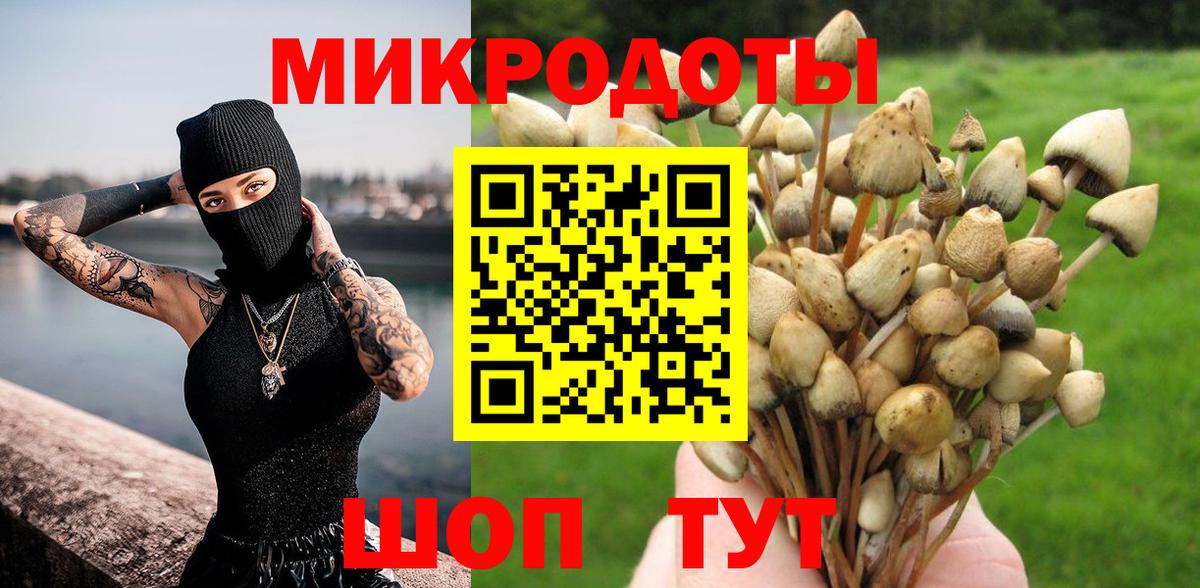Галлюциногенные грибы Magic Shrooms  где купить наркотик  Троицк  Вход с VPN 